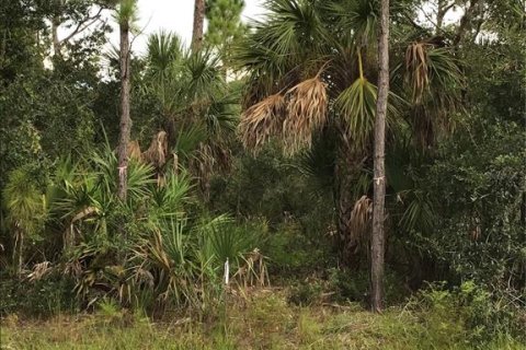 Terrain à vendre à Port Charlotte, Floride № 2236478 - photo 4