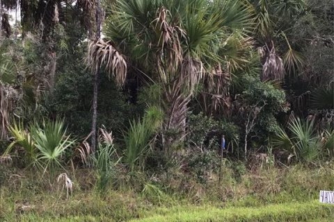 Terrain à vendre à Port Charlotte, Floride № 2236478 - photo 6