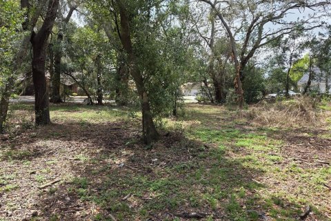 Land in Zephyrhills, Florida № 2155549 - photo 4