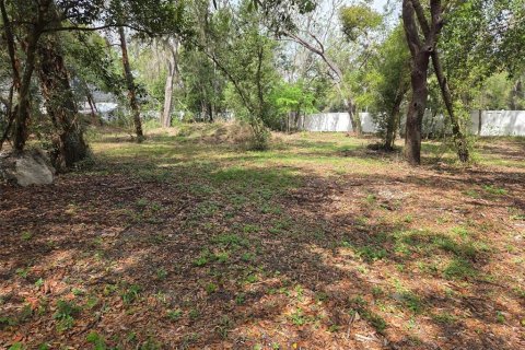 Land in Zephyrhills, Florida № 2155549