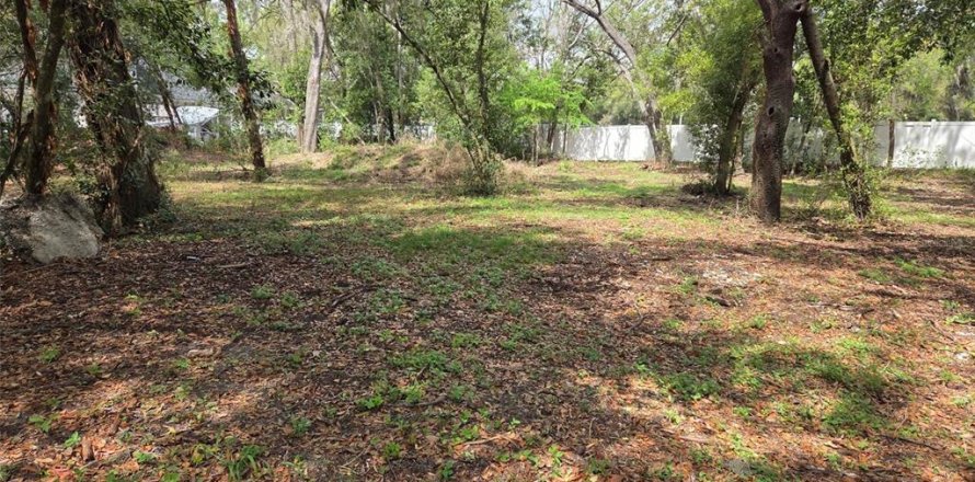 Land in Zephyrhills, Florida № 2155549