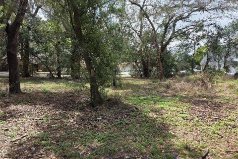 Land in Zephyrhills, Florida № 2155549 - photo 3