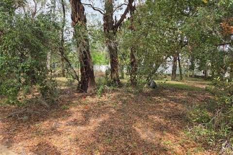 Land in Zephyrhills, Florida № 2155549 - photo 2