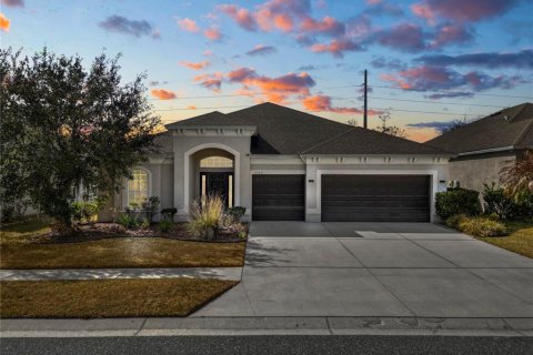 House in Wesley Chapel, Florida 4 bedrooms, 245.54 sq.m. № 2118614