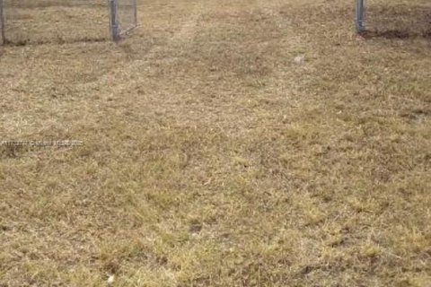 Land in Clewiston, Florida № 1703432 - photo 5