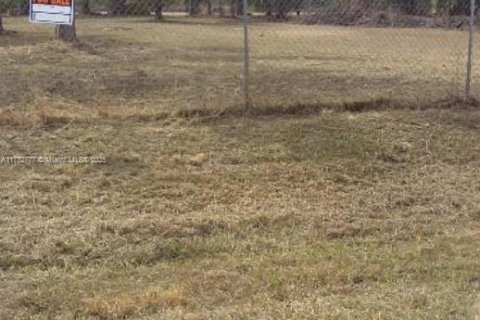Land in Clewiston, Florida № 1703432 - photo 4