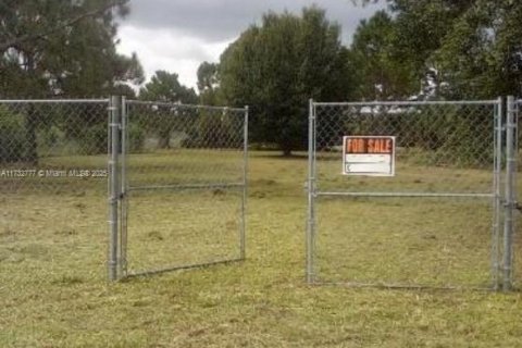 Land in Clewiston, Florida № 1703432 - photo 2