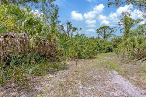 Land in Venice, Florida № 2096453 - photo 18
