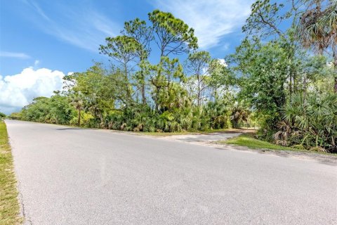Land in Venice, Florida № 2096453 - photo 24
