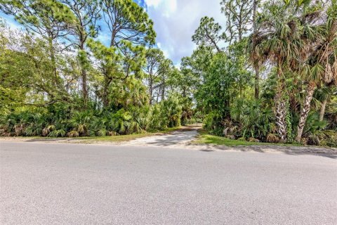 Land in Venice, Florida № 2096453 - photo 25