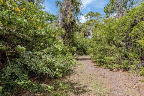Land in Venice, Florida № 2096453 - photo 19