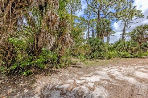 Land in Venice, Florida № 2096453 - photo 22