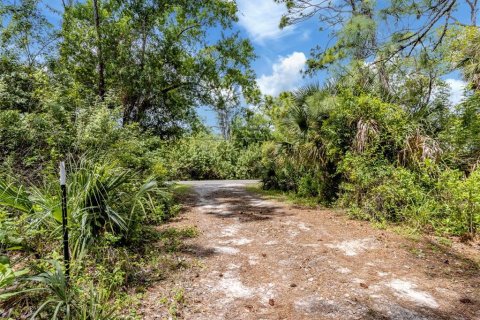 Land in Venice, Florida № 2096453 - photo 21