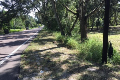 Land in Plant City, Florida № 2364485