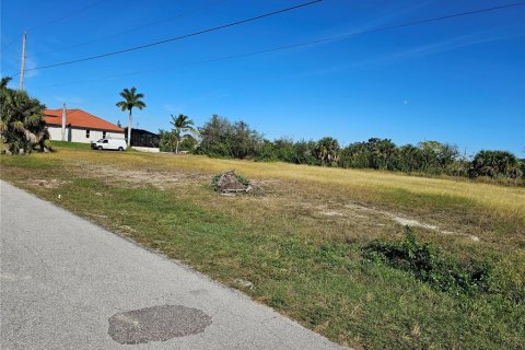 Land in Cape Coral, Florida № 1158559 - photo 5