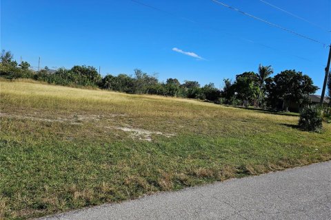Land in Cape Coral, Florida № 1158559 - photo 4