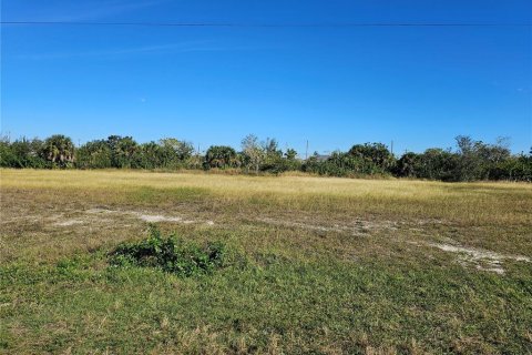 Land in Cape Coral, Florida № 1158559 - photo 3