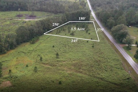 Land in Caryville, Florida № 558955 - photo 1