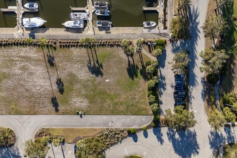 Land in Palm Coast, Florida № 1512432 - photo 6