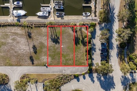 Land in Palm Coast, Florida № 1512432 - photo 2