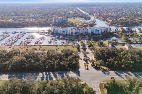Land in Palm Coast, Florida № 1512432 - photo 4