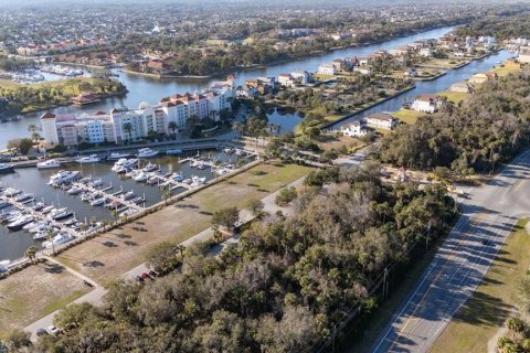 Land in Palm Coast, Florida № 1512432 - photo 3