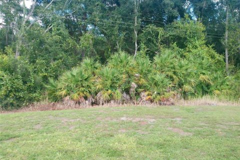 Appartement à louer à Lakeland, Floride: 2 chambres, 90.39 m2 № 2419910 - photo 14
