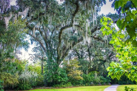 Land in Oakland, Florida № 1868902 - photo 20