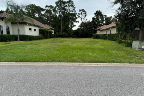 Land in Palm Coast, Florida № 1397263 - photo 1
