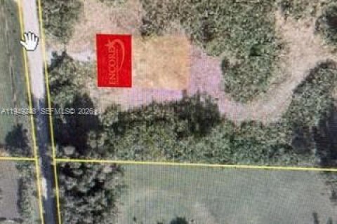 Immobilier commercial à vendre à Miami, Floride № 2005111 - photo 3