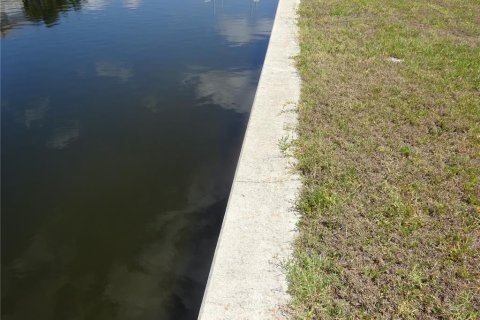 Land in Punta Gorda, Florida № 1169025 - photo 5
