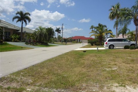 Land in Punta Gorda, Florida № 1169025 - photo 9