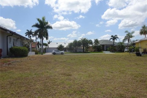 Land in Punta Gorda, Florida № 1169025 - photo 8