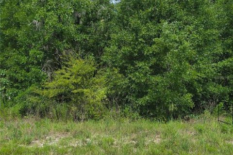 Terreno en venta en Weeki Wachee, Florida № 2233436 - foto 4