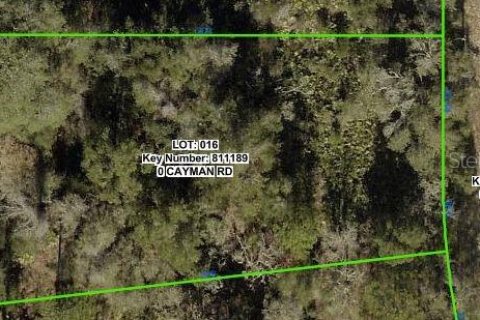 Terreno en venta en Weeki Wachee, Florida № 2233436 - foto 2