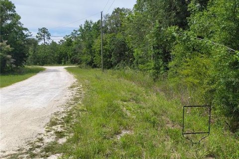 Terreno en venta en Weeki Wachee, Florida № 2233436 - foto 3