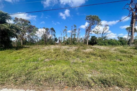 Terreno en Rotonda, Florida № 2104227