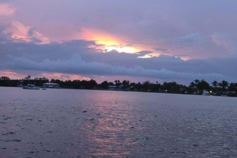 Condo in Hollywood, Florida, 1 bedroom  № 1696292 - photo 1