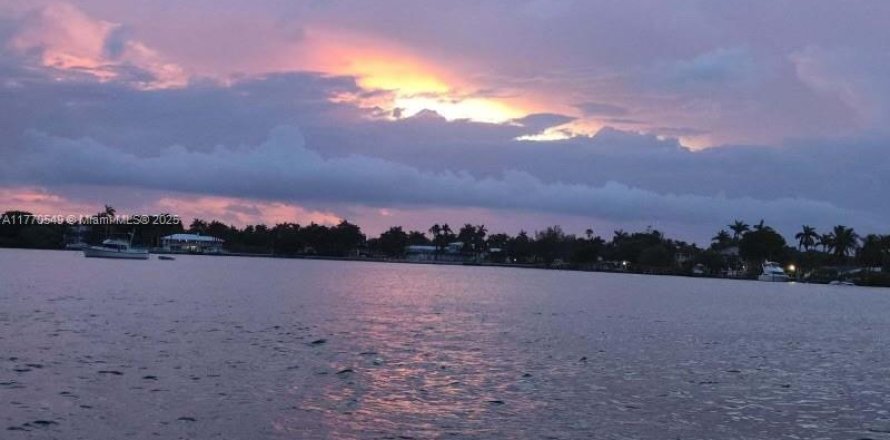 Condo in Hollywood, Florida, 1 bedroom  № 1696292