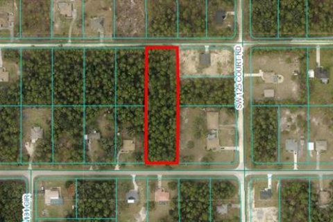 Land in Dunnellon, Florida № 1821367 - photo 1