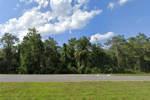 Land in Christmas, Florida № 1614237 - photo 1