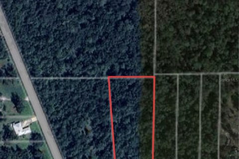 Land in Christmas, Florida № 1614237 - photo 3