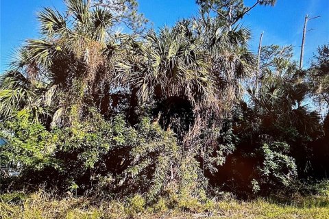 Land in Port Charlotte, Florida № 2164225 - photo 2