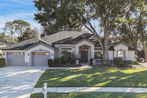 House in Tampa, Florida 4 bedrooms, 315.12 sq.m. № 2142278