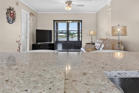 Condo in Punta Gorda, Florida, 2 bedrooms  № 2385915 - photo 11