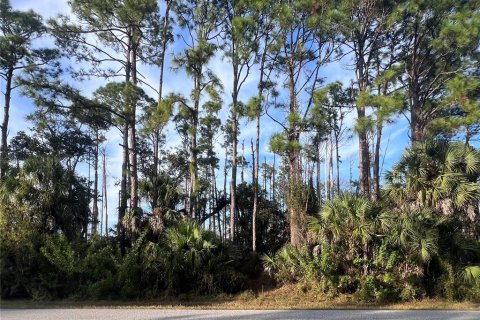 Land in Port Charlotte, Florida № 2162706 - photo 9