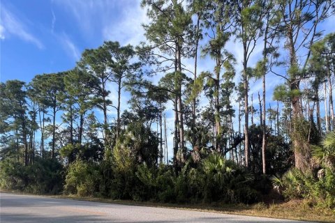Land in Port Charlotte, Florida № 2162706