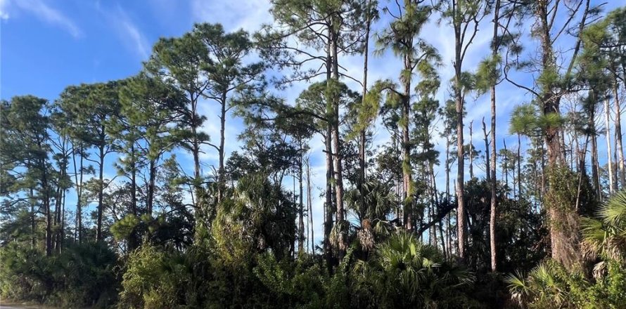 Land in Port Charlotte, Florida № 2162706