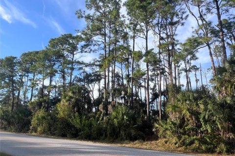 Land in Port Charlotte, Florida № 2162706 - photo 8