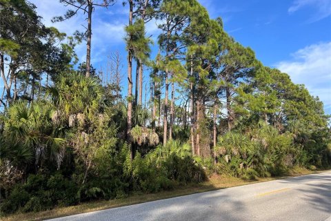 Land in Port Charlotte, Florida № 2162706 - photo 3